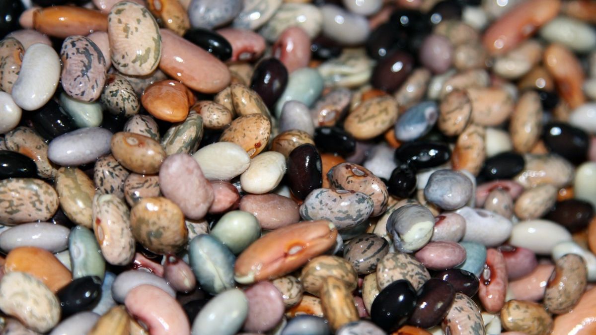 Nasiona roślin strączkowych znalazły się na liście polecanych superfoods