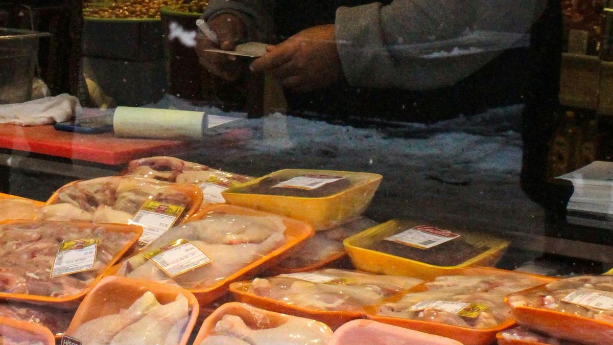 Lada z mięsem/ zdjęcie ilustracyjne