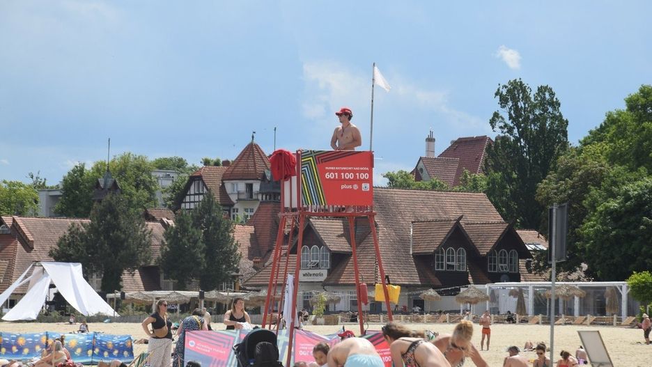Nieodpowiedzialne zachowanie turystów na plaży w Sopocie. Dzikie zwierzę otoczone przez gapiów
