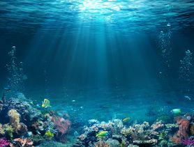 Oceany na świecie - jak powstały, ile jest oceanów na Ziemi?