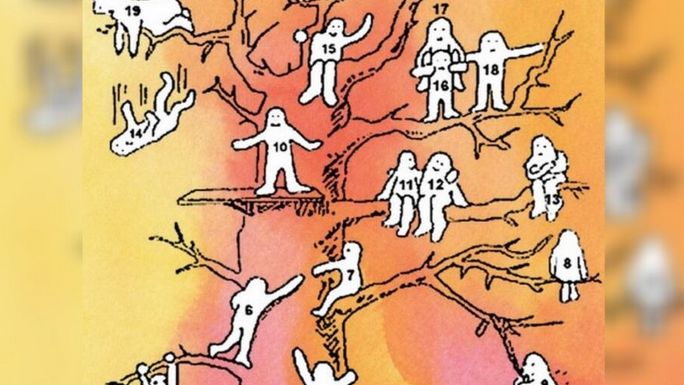 Test obrazkowy. Sprawdź, jaką osobą jesteś