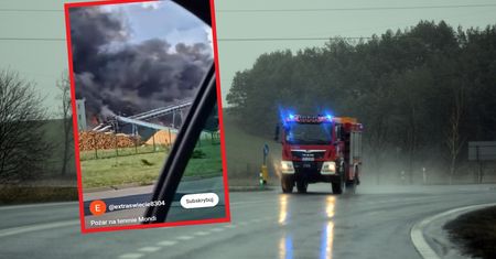 Potężny pożar w Świeciu. Już wiedzą, co mogło się stać w zakładach