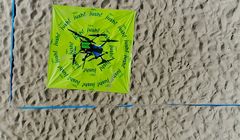 Żabka Jush pierwszy raz dostarczyła zakupy dronem. Zamówiła je gwiazda „M jak miłość” (wideo)