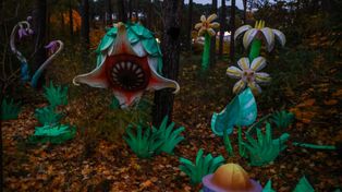 Poznań: Lumina Park znów zaświecił