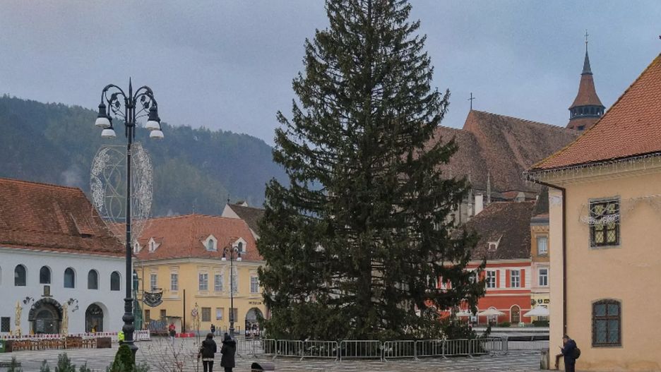 Potężna jodła stanęła na rynku braszowskim już 13 listopada