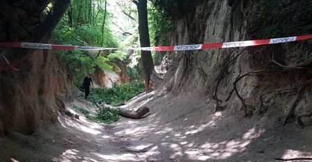 Konar spadł na dzieci. Popularna atrakcja zamknięta do odwołania