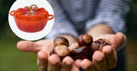 Sprzedają nawet kasztany. Scalping to koszmar konsumentów [OPINIA]