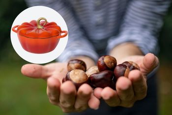 Sprzedają nawet kasztany. Scalping to koszmar konsumentów [OPINIA]