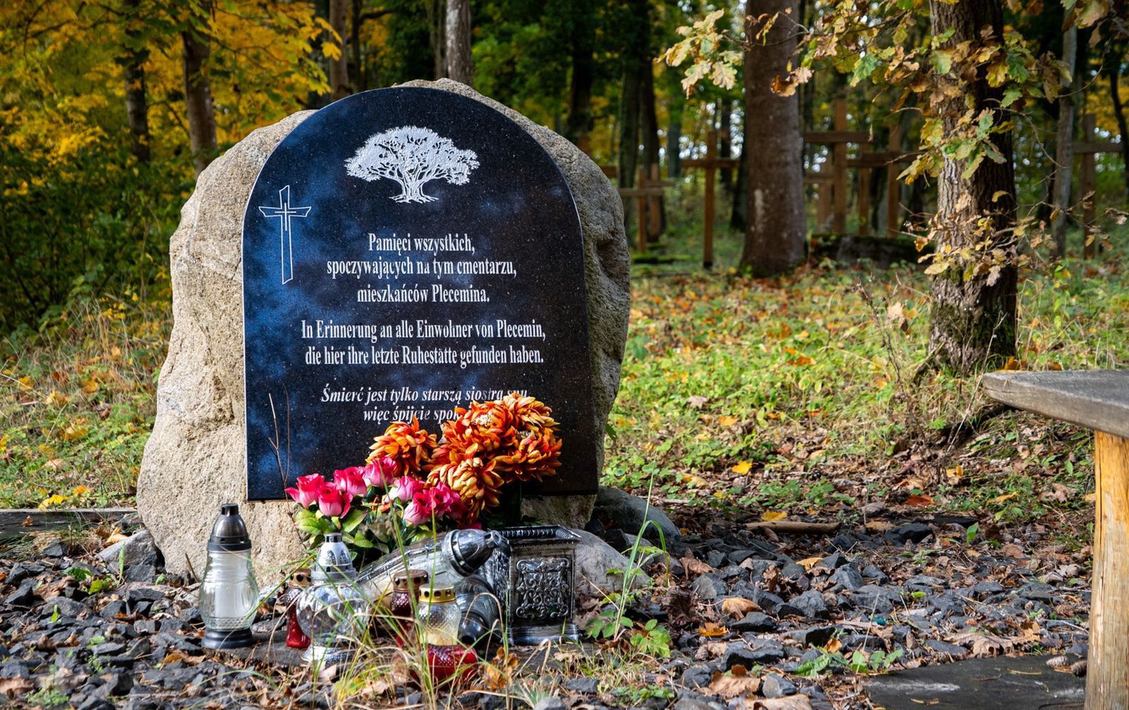 Stary cmentarz ewangelicki w Pleceminie