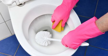 Wsyp do sedesu. Tani specyfik "rozluźni" odpływ