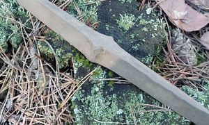 Myślał, że las jest pusty. I nagle takie odkrycie. "Zabezpieczone"