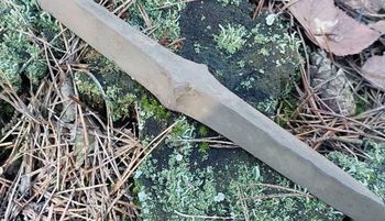 Myślał, że las jest pusty. I nagle takie odkrycie. "Zabezpieczone"