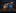 Dreamworks i Intel - 3D TV