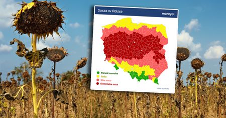 Już pół Polski na czerwono. Czekają nas wielkie zmiany. Wejdą zakazy