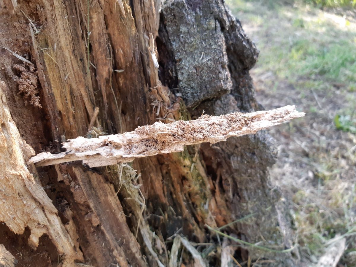 Test Samsunga Galaxy A8 – dobry średniak, który wyglądem nie odstaje od flagowców 22