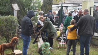 Grzybno: Dyniowe szaleństwo podczas Dnia Korbola. Wybrano największe dynie olbrzymie