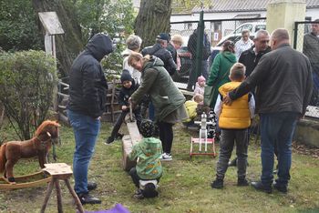 Grzybno: Dyniowe szaleństwo podczas Dnia Korbola. Wybrano największe dynie olbrzymie