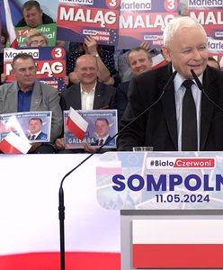 Kaczyński zdumiał wyceną euro. "Nie 5 zł, a 2,55 zł"