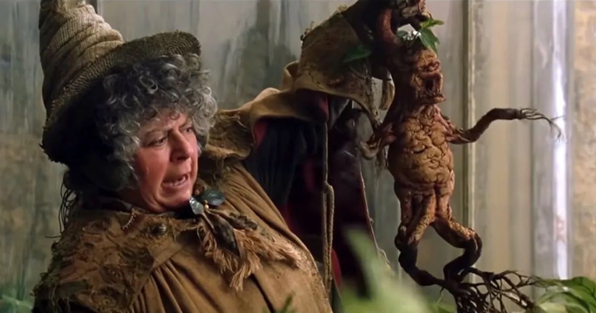 Miriam Margolyes w "Harrym Potterze" wcielała się w profesor Sprout 