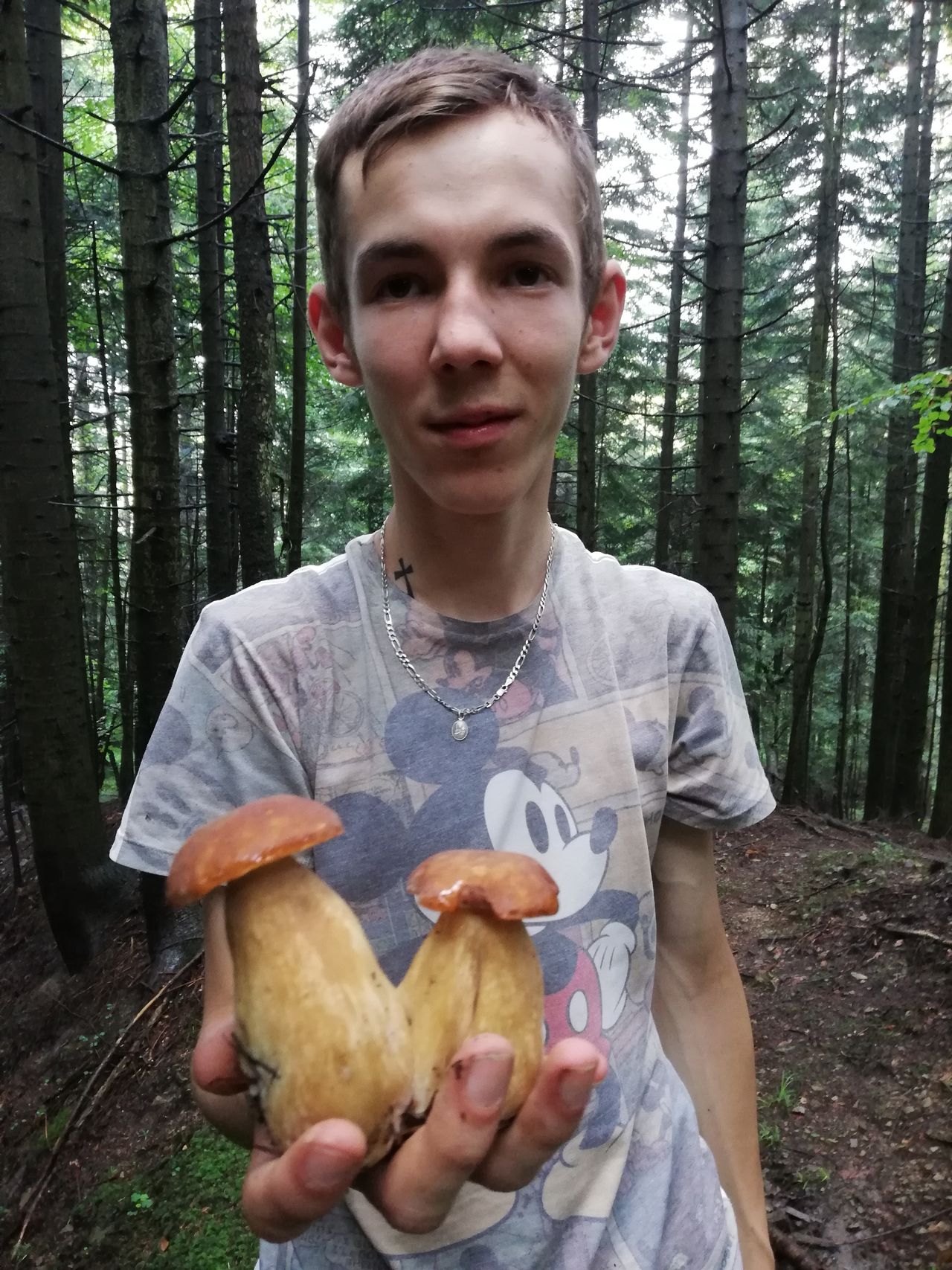 Obraz