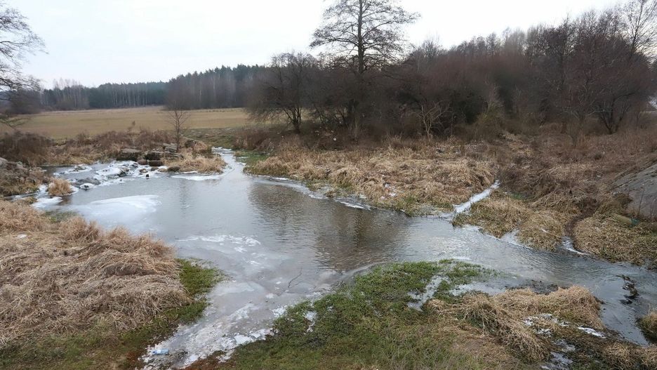 Dolina rzeki Pacynki, miejsce, które zostało wyłączone z gminy Jastrzębia i przyłączone do Radomia. Na tym terenie powstanie zalew.