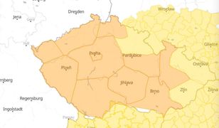 Pogoda: Czechy alarmują. "Klęska w całym kraju"