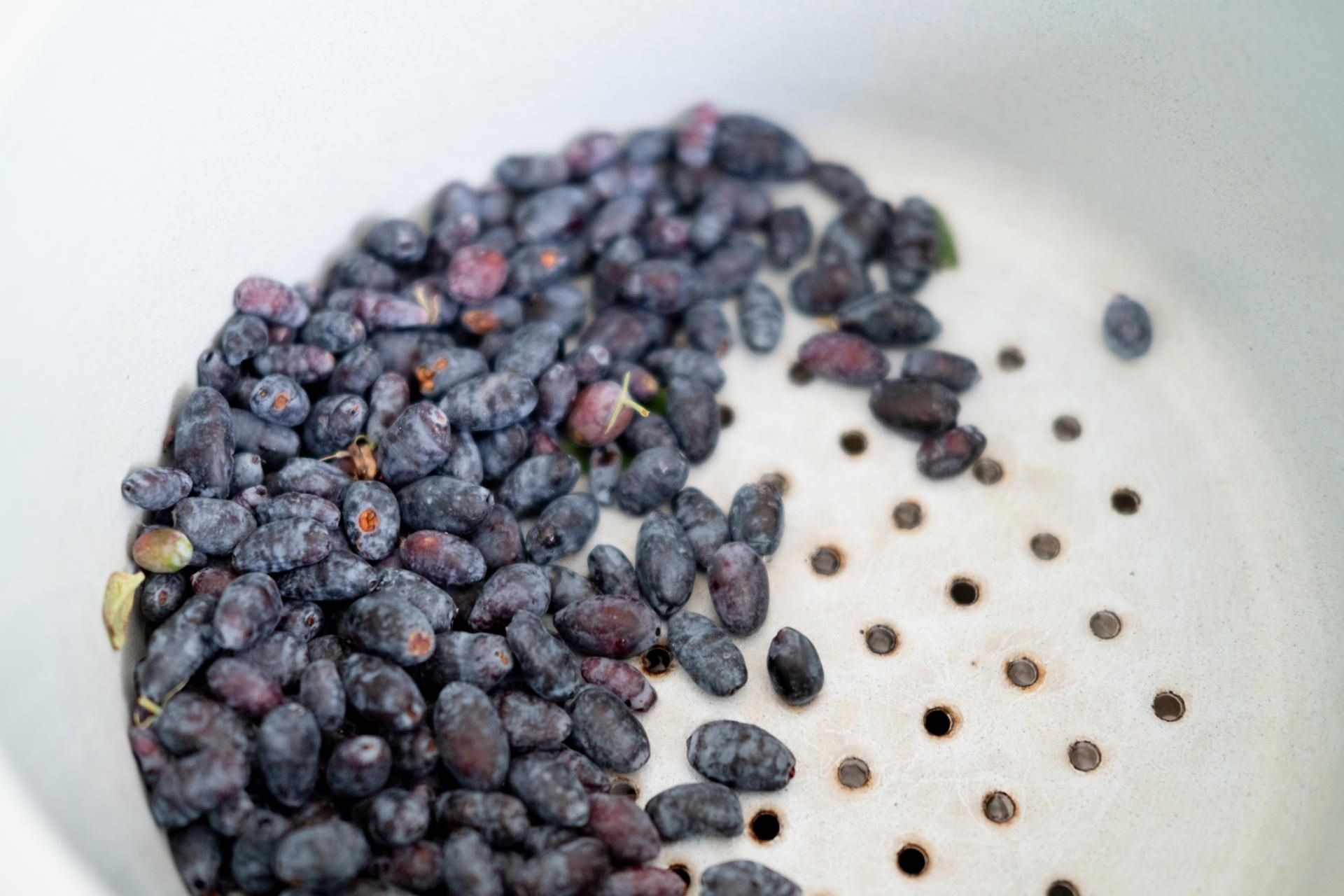 Jagoda kamczacka to bogate źródło antyoksydantów