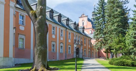 Wyjątkowe odkrycie w Lubuskiem. "Pokazuje, że o klasztorze wiemy bardzo mało"