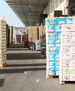 Przerwa największego rynku rolnego. Oto do kiedy będzie zamknięty