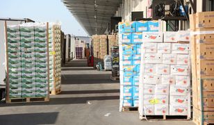 Przerwa największego rynku rolnego. Oto do kiedy będzie zamknięty