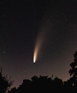 NASA potwierdza. Nowa kometa spoza Układu Słonecznego zbliża się do Ziemi