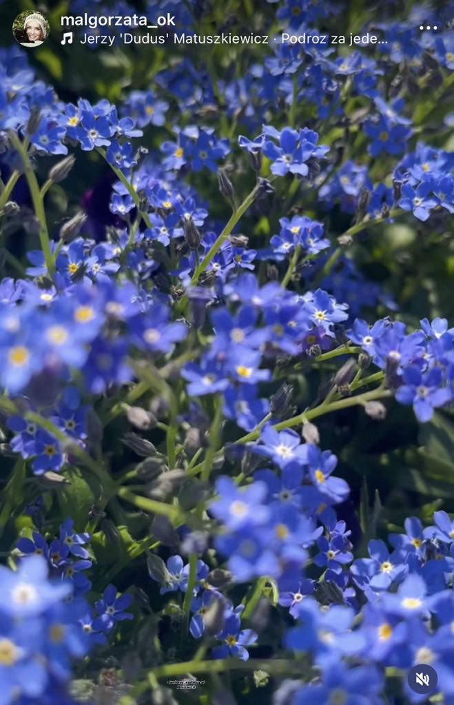 Małgorzata Ostrowska-Królikowska relacjonuje majówkę z wnukami