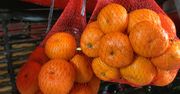 Zrób to, zanim kupisz mandarynki. Unikniesz przykrej niespodzianki