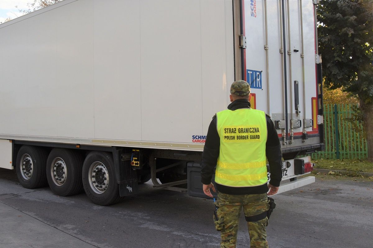 Teresopol: Straż Graniczna zatrzymała ciężarówkę z przerobionym numerem VIN
