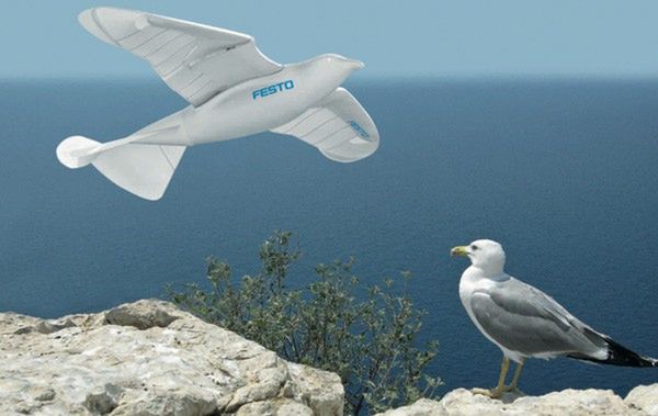 Robot, który lata jak ptak