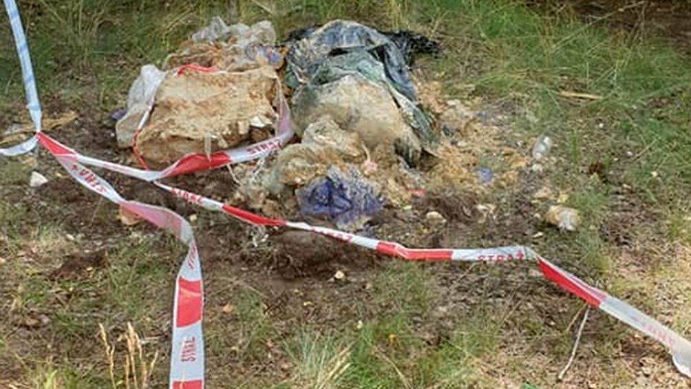 Od kilku miesięcy nieznani sprawcy wyrzucają beczki z groźnymi substancjami do lasów w woj kujawsko-pomorskim.