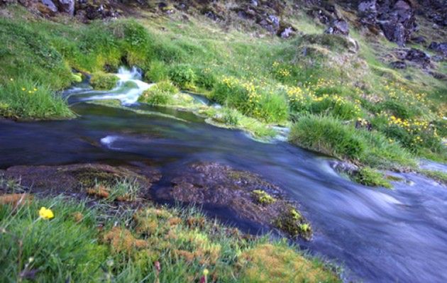 Islandia. Labirynt tysiąca strumieni