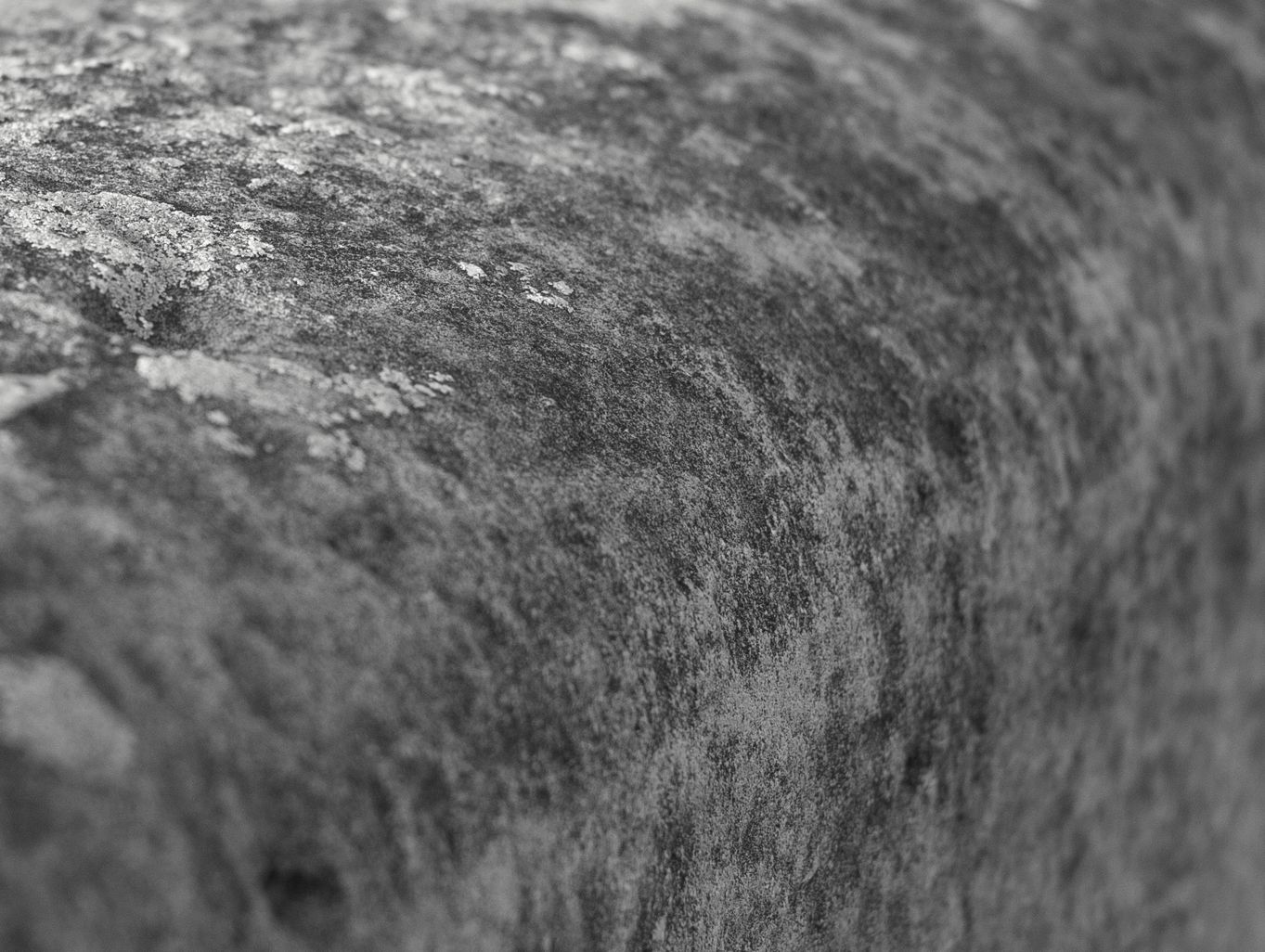 Czy można jaśniej? Sprawdzam obiektyw Voigtlander Nokton 35 mm f/1.2 Aspherical II 18