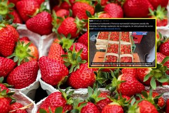 "Truskawki nakłada sprzedawca". Szef nie wytrzymał
