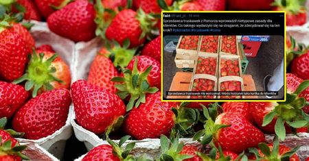 Sprzedawca truskawek powiedział "dość". Położył kartkę