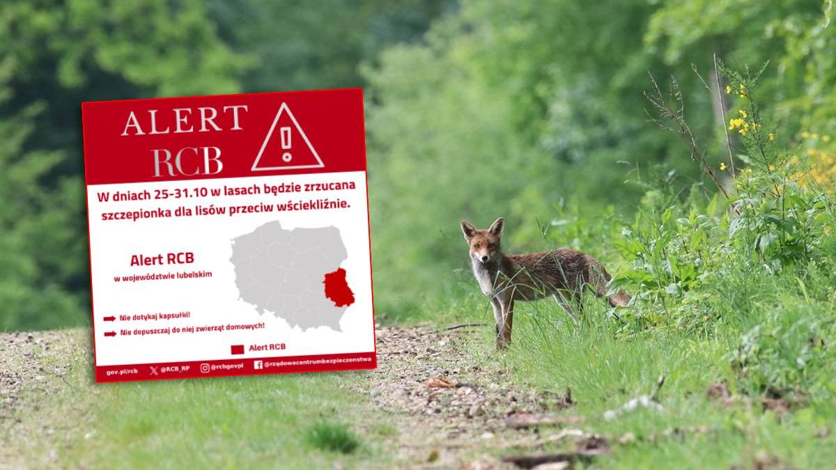 Alert RCB. „Będzie zrzucana szczepionka dla listów”