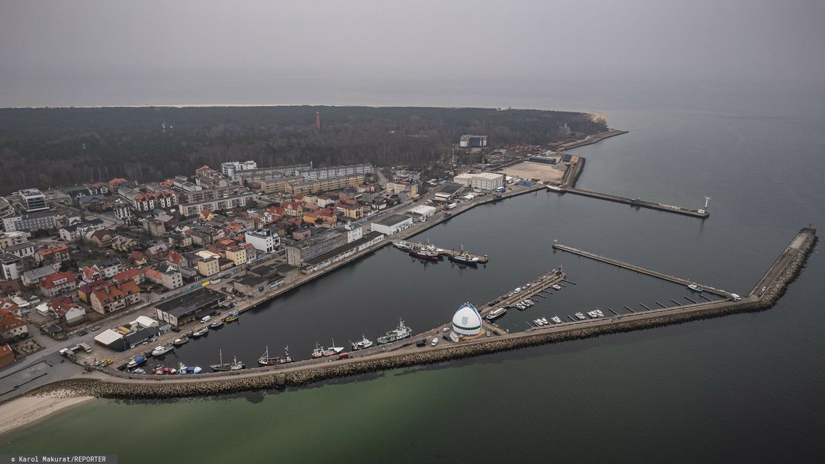 Wytną setki drzew na Helu pod hotel. Mieszkańcy są w szoku