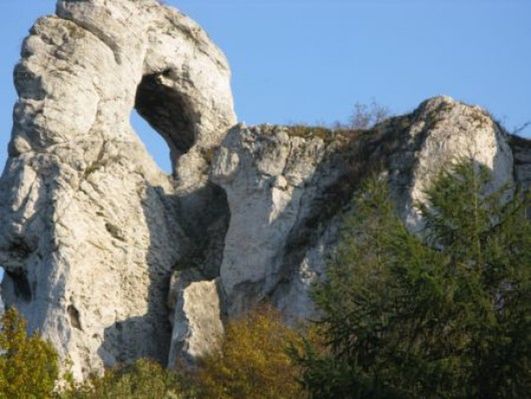 Obraz