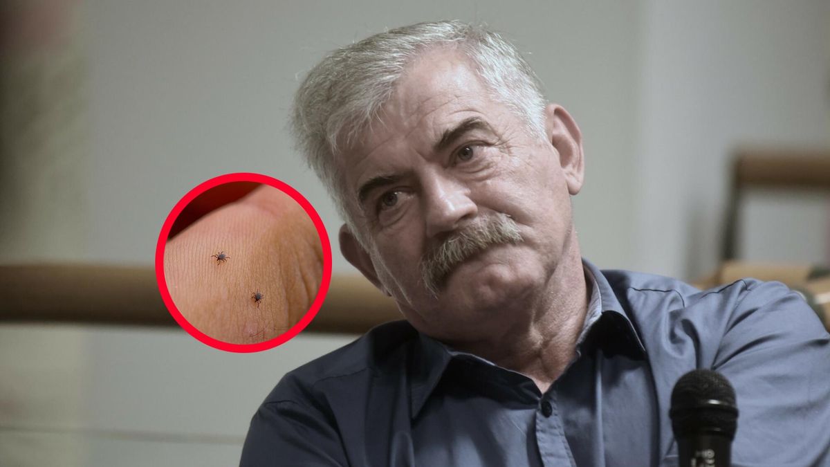 Leśnik mówi, co chroni przed kleszczami. "Obowiązkowe"