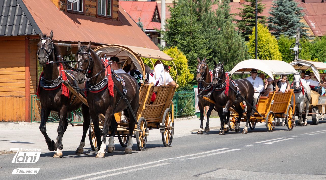Bukowina Tatrzańska znów stanie się stolicą polskiego folkloru