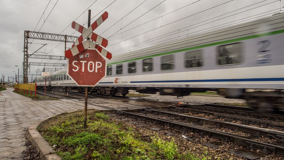 Train inside depot
Warsaw, Poland - October 20, 2017: Moving passenger trains at the railway depot in Olszynka Grochowska and red STOP sign with Saint Andrew's Cross
Mirek Nowaczyk
Poland, Polish, STOP sign, Warsaw, carriage, course, europe, european, grade crossing, grail, industrial, industry, intersection, level crossing, line, move, moving, passenger, patch, path, rail, railroad tracks, railway, remedy, repair, road, road crossin, road sign, road through, rolling-stock, safety, saint andrew's cross, saltire, saltire sign, shunt, sidetrack, siding, sign, steering, stop, stop icon, switch, technological, track, traffic sign, train, train crossing, train stop sign, trains, transport, transportation, underground, vehicle, wagons, warning, way, stop sign, poland, polish, warsaw, carriage, course, europe, european, grade crossing, grail, industrial, industry, intersection, level crossing, line, move, moving, passenger, patch, path, rail, railroad tracks, railway, remedy, repair, road, road crossin, road sign, road through, rolling-stock, safety, saint andrew's cross, saltire, saltire sign, shunt, sidetrack, siding, sign, steering, stop, stop icon, switch, technological, track, traffic sign, train, train crossing, train stop sign, trains, transport