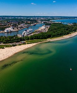 Wyjątkowe znalezisko na Westerplatte. "Kapsuła czasu" skrywała prawdziwe skarby