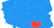 Wybory 2020. Google zdradza, co i kto interesuje Polaków
