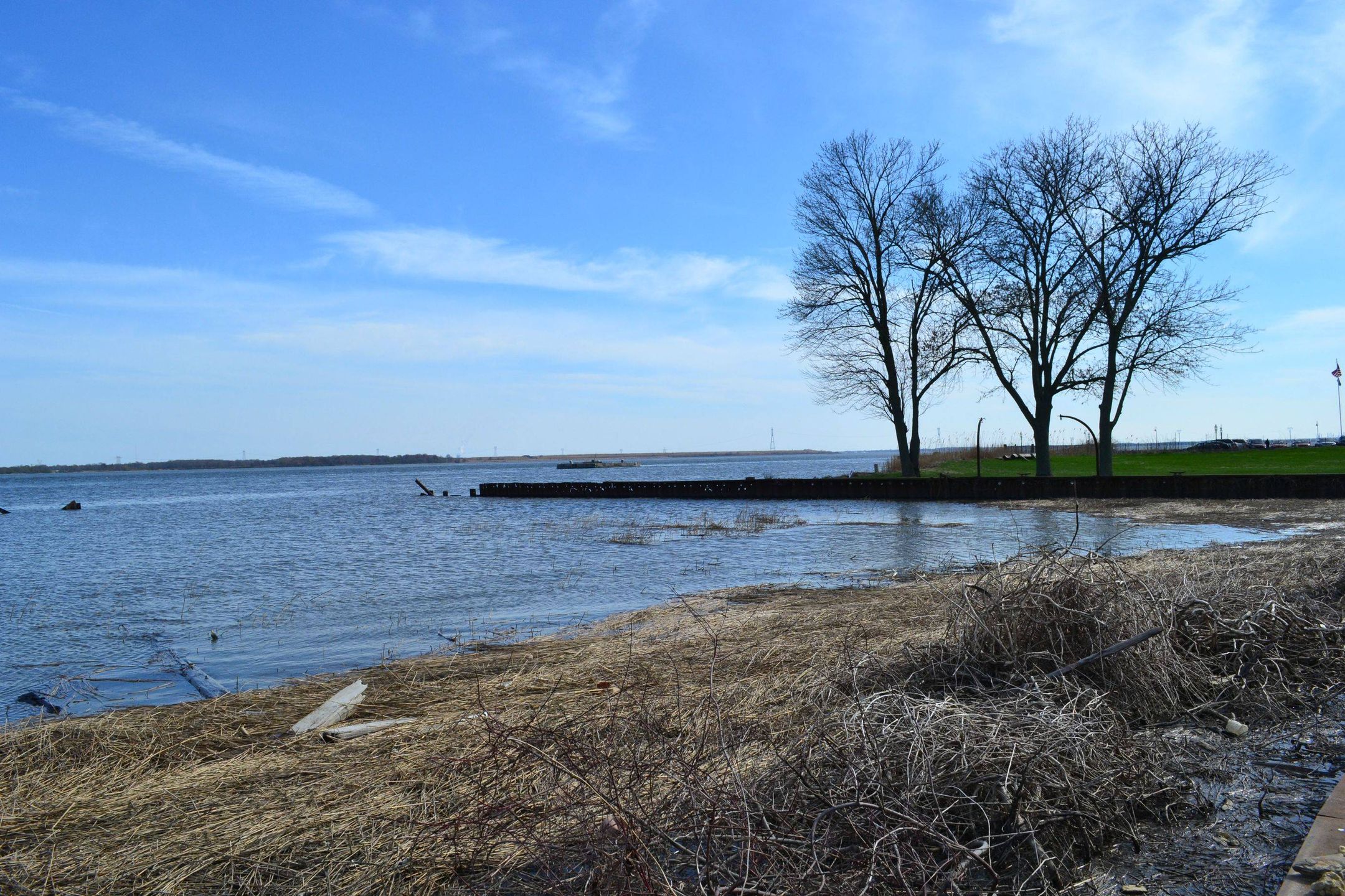 OnePlus One czy lustrzanka? Zobacz zdjęcia porównawcze 23