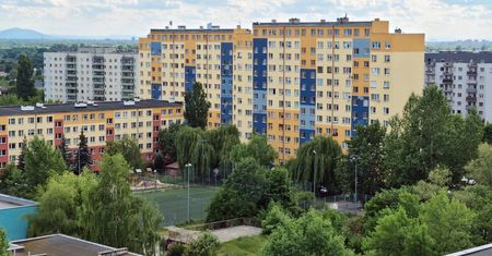 Znaleźli sposób na rządowy program. "Jest nie do wykrycia"